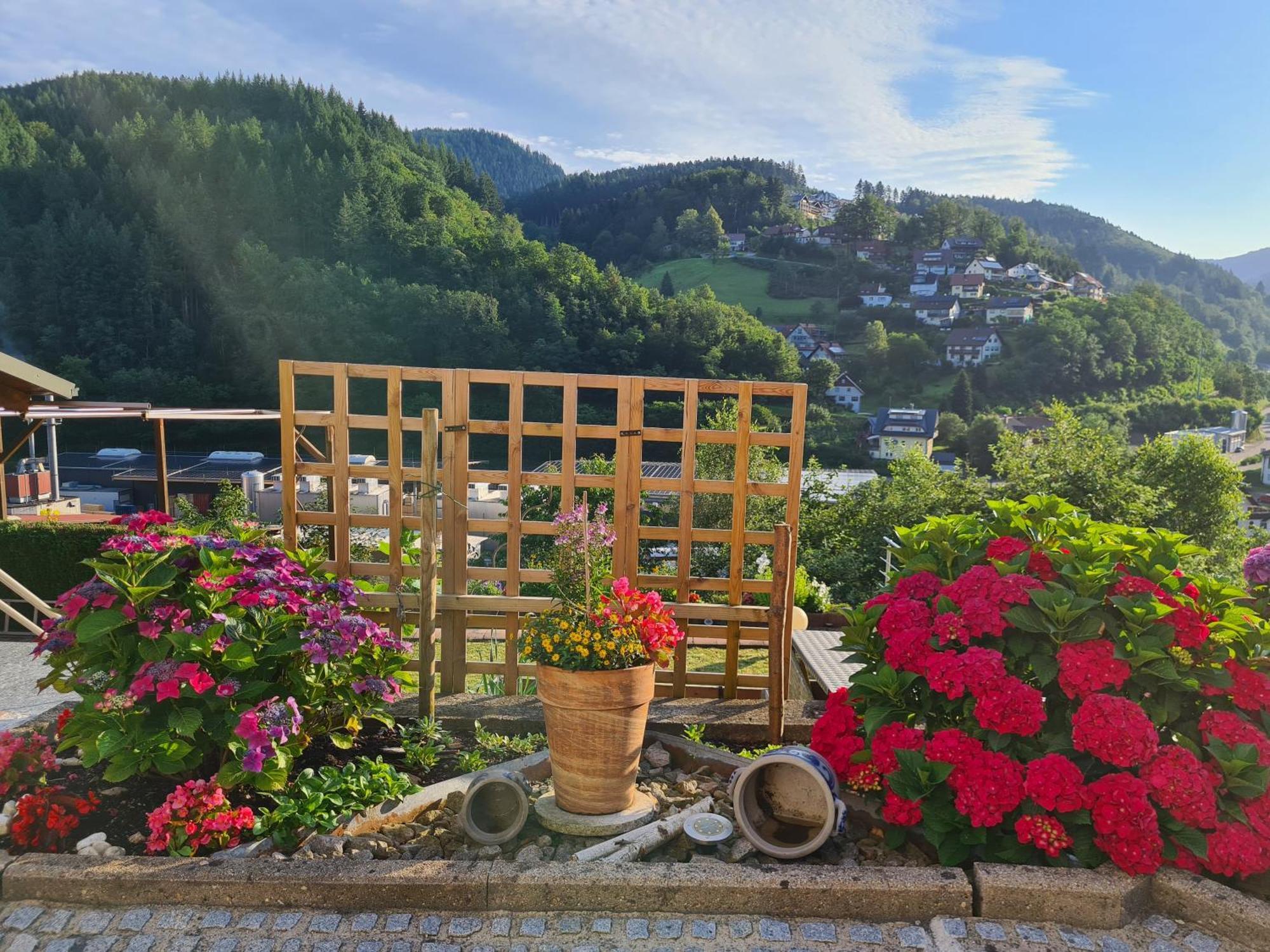 Ferienwohnung Schwarzwaldsteig Бад-Петерсталь-Грисбах Экстерьер фото